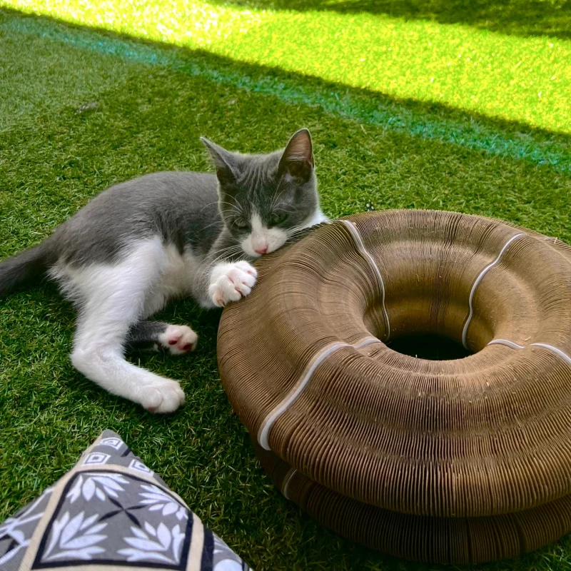 Vanbanco™ Interactive Cat Tunnel Toy