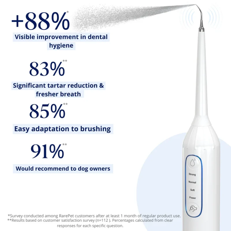 Gentle At-Home Dental Care for Your Dog – Fresher Breath, Brighter Smile