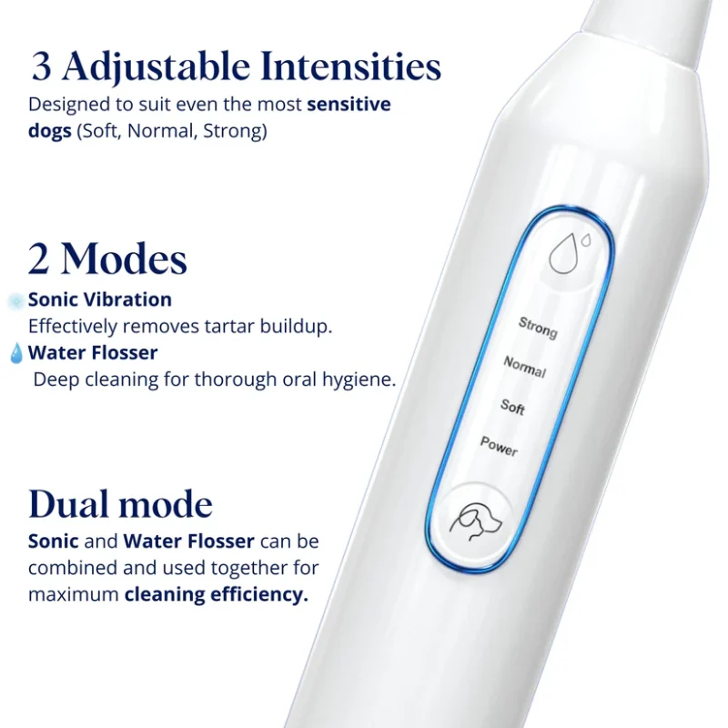 Gentle At-Home Dental Care for Your Dog – Fresher Breath, Brighter Smile