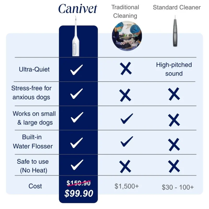 Gentle At-Home Dental Care for Your Dog – Fresher Breath, Brighter Smile