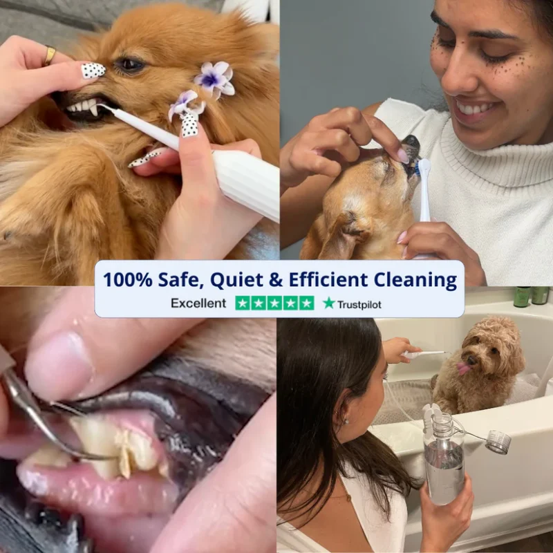 Gentle At-Home Dental Care for Your Dog – Fresher Breath, Brighter Smile